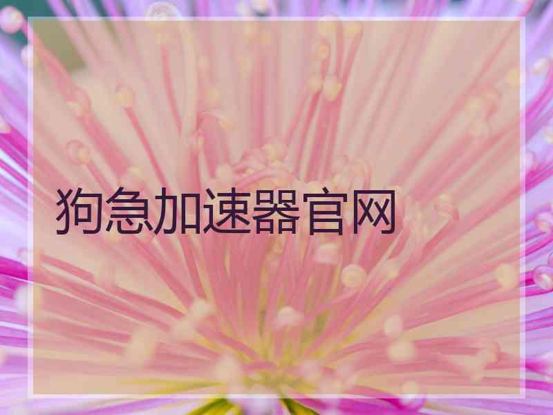 狗急加速器官网