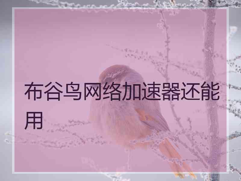 布谷鸟网络加速器还能用