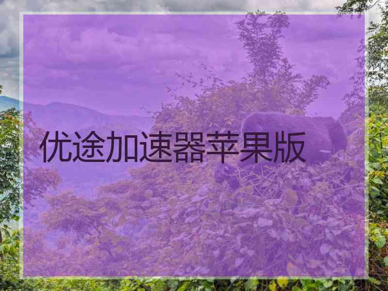 优途加速器苹果版