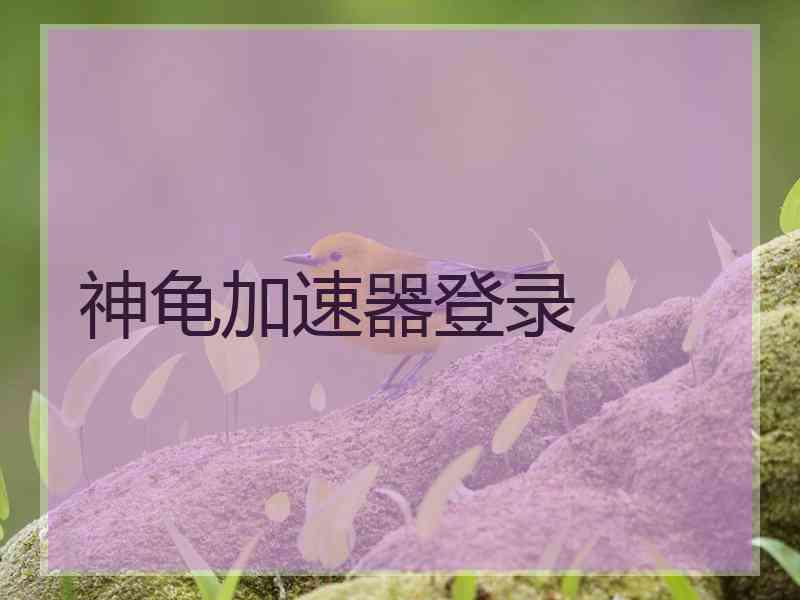 神龟加速器登录