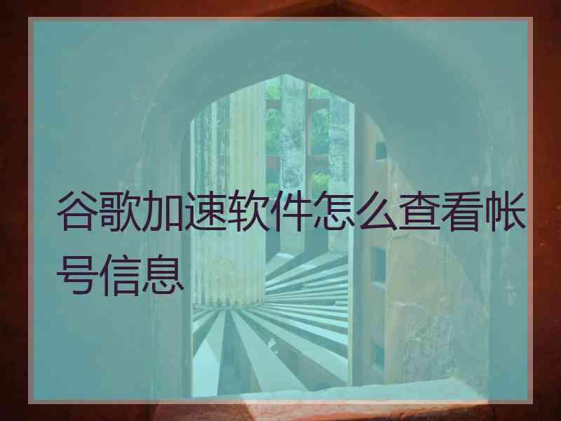 谷歌加速软件怎么查看帐号信息