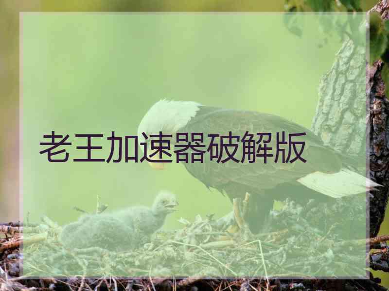 老王加速器破解版