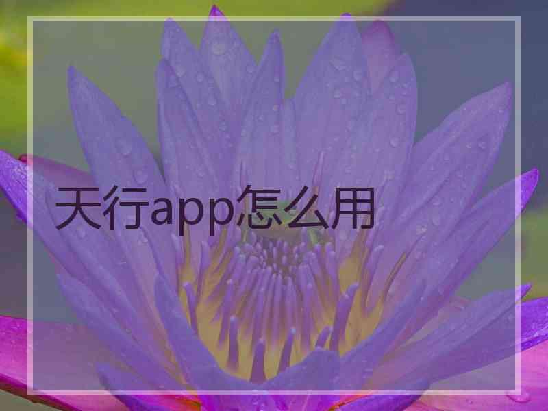 天行app怎么用