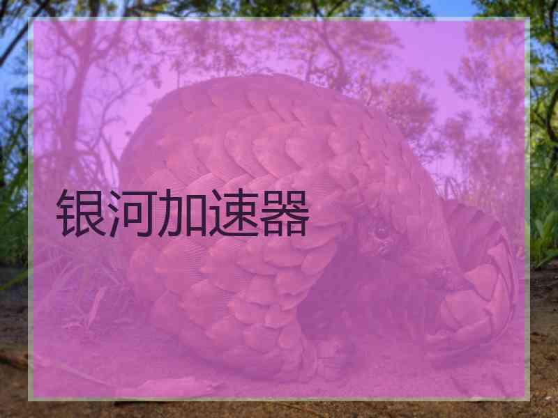 银河加速器