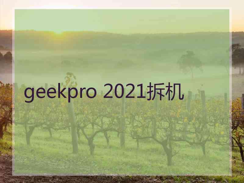 geekpro 2021拆机