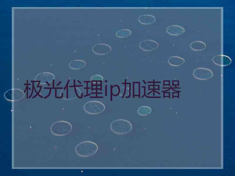 极光代理ip加速器