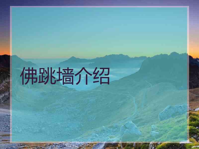 佛跳墙介绍