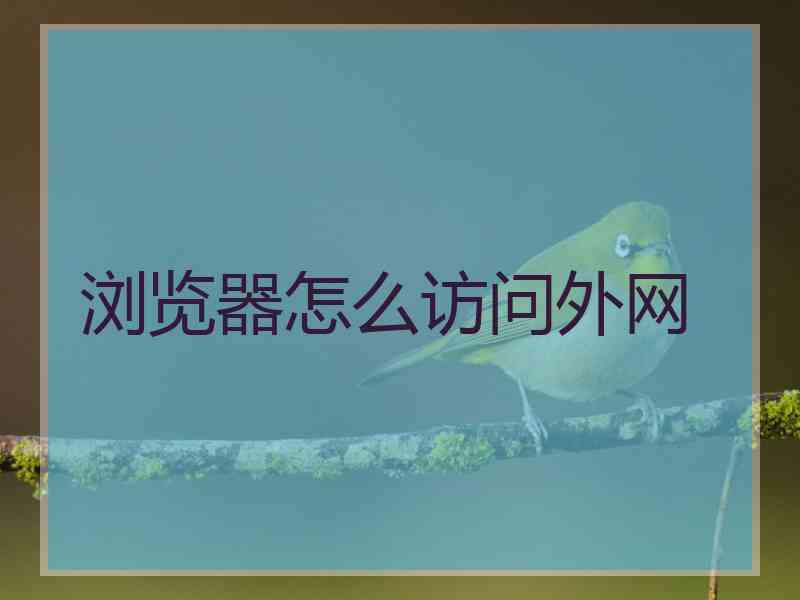 浏览器怎么访问外网