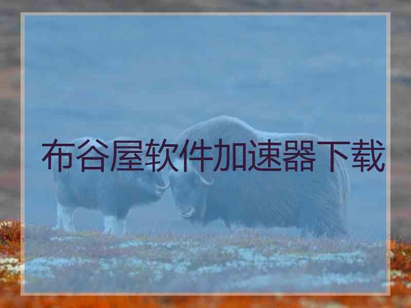 布谷屋软件加速器下载