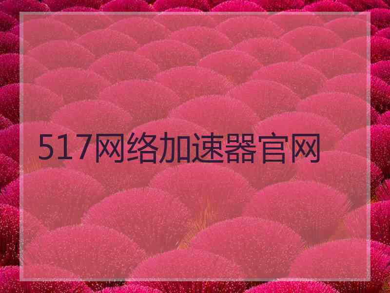 517网络加速器官网