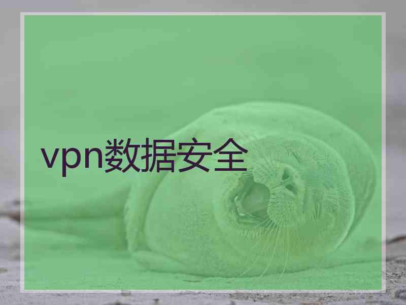 vpn数据安全