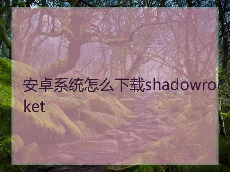 安卓系统怎么下载shadowrocket