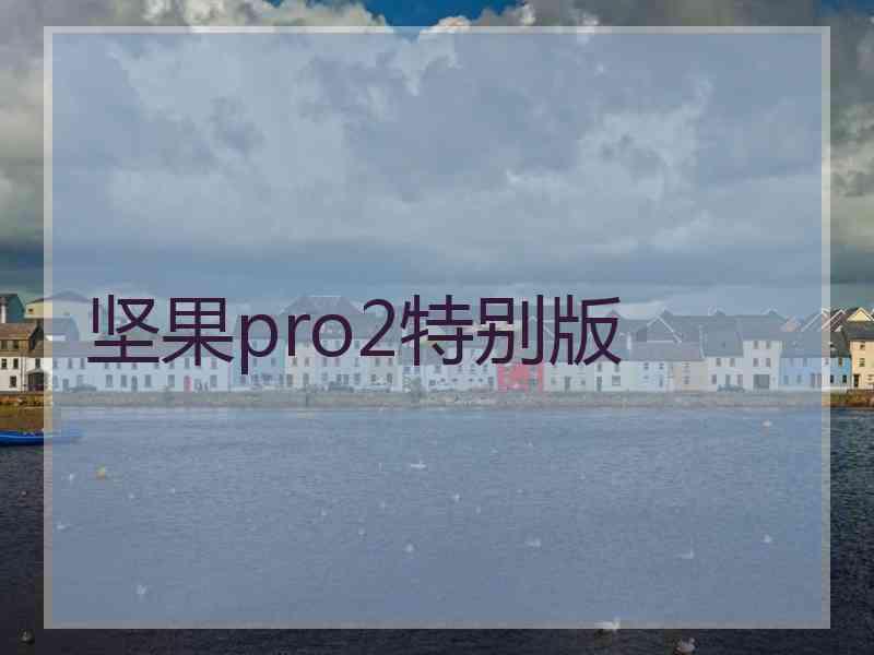 坚果pro2特别版