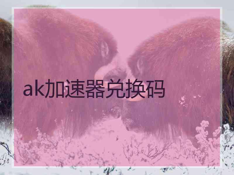 ak加速器兑换码