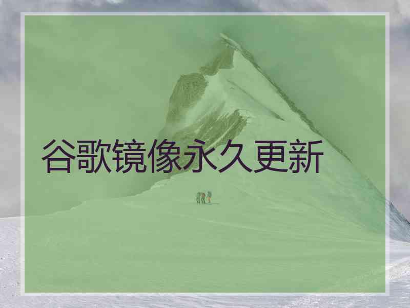 谷歌镜像永久更新