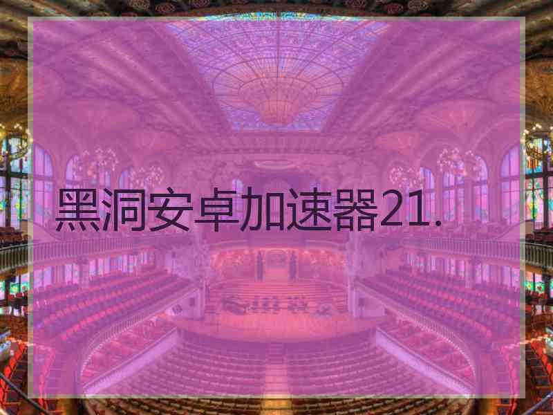 黑洞安卓加速器21.