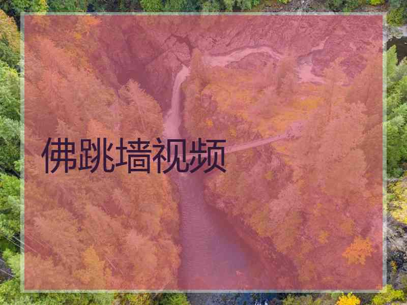 佛跳墙视频