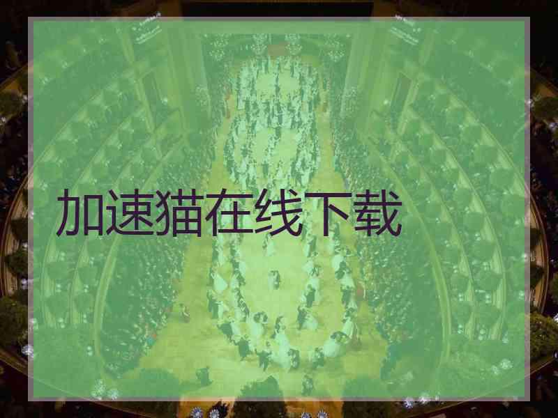 加速猫在线下载