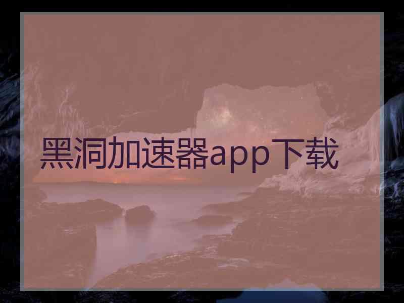 黑洞加速器app下载