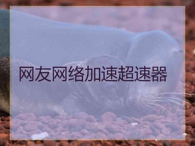 网友网络加速超速器