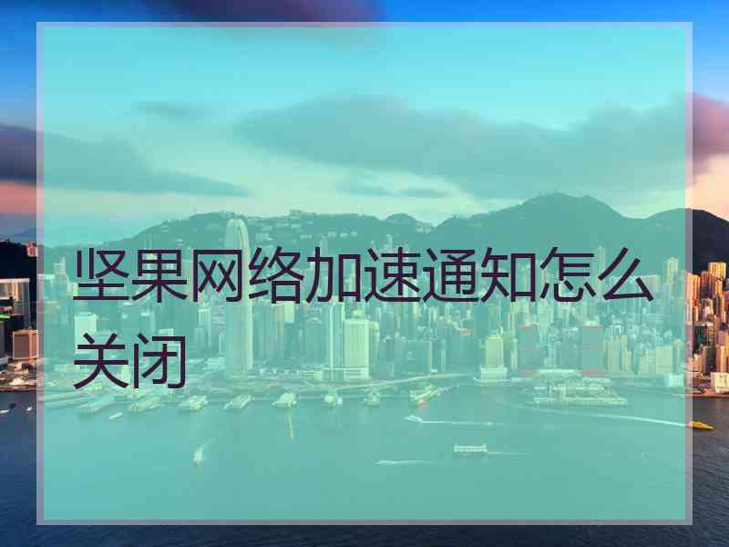 坚果网络加速通知怎么关闭