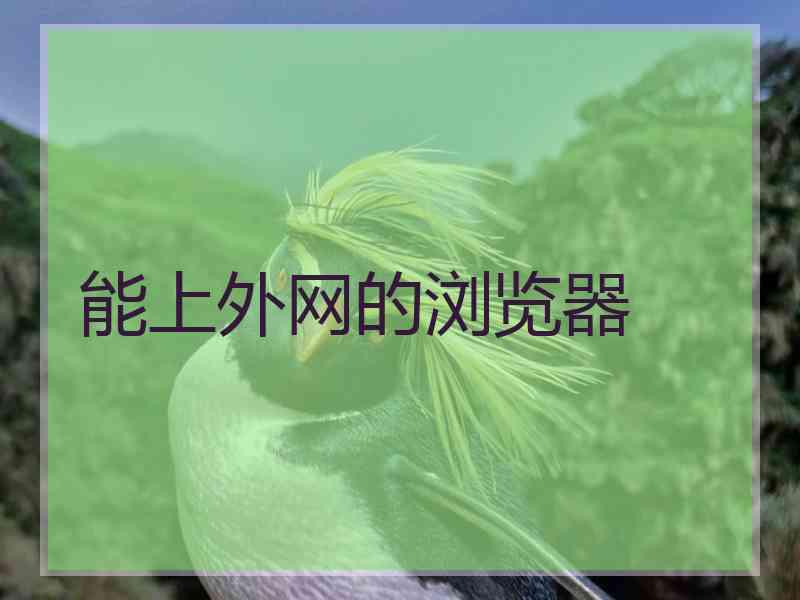 能上外网的浏览器