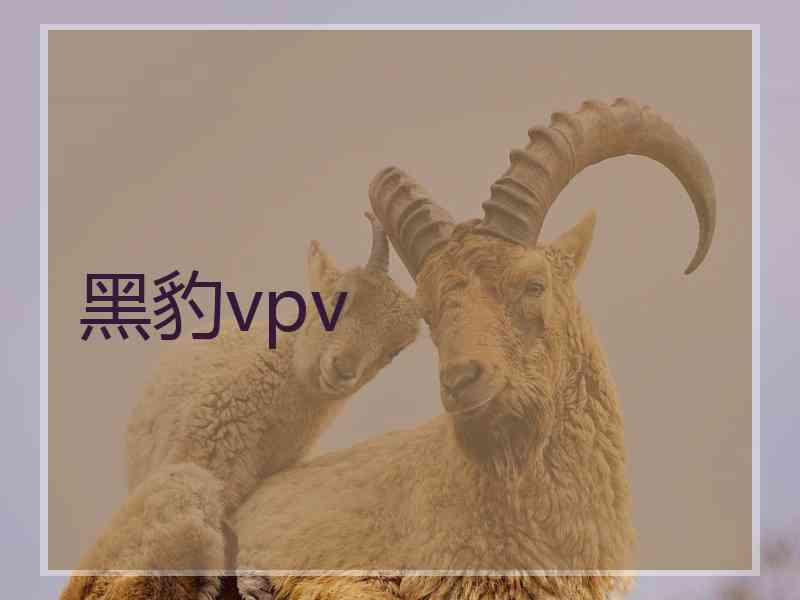 黑豹vpv