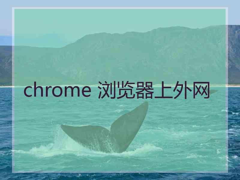 chrome 浏览器上外网