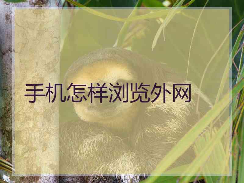 手机怎样浏览外网