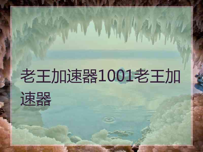 老王加速器1001老王加速器