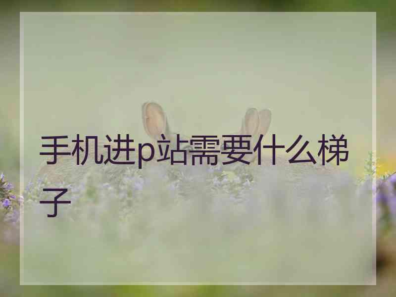 手机进p站需要什么梯子