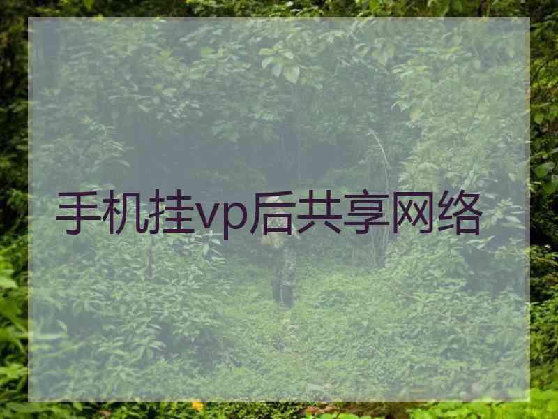 手机挂vp后共享网络