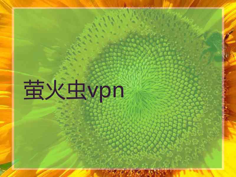 萤火虫vpn