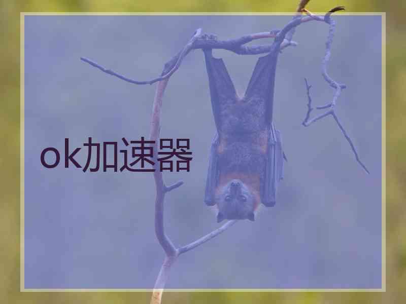 ok加速器