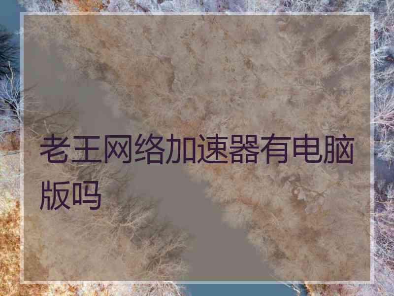 老王网络加速器有电脑版吗