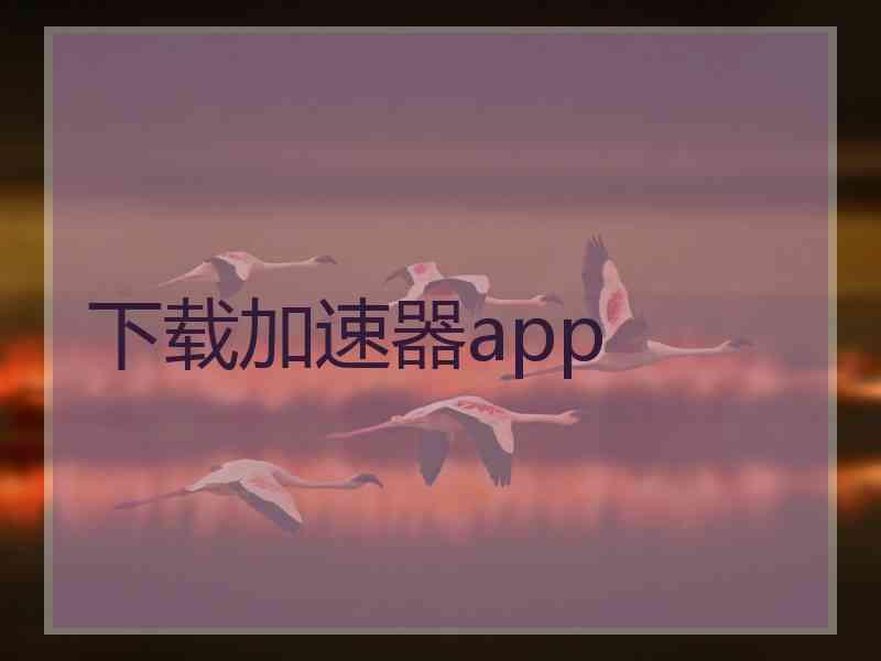 下载加速器app
