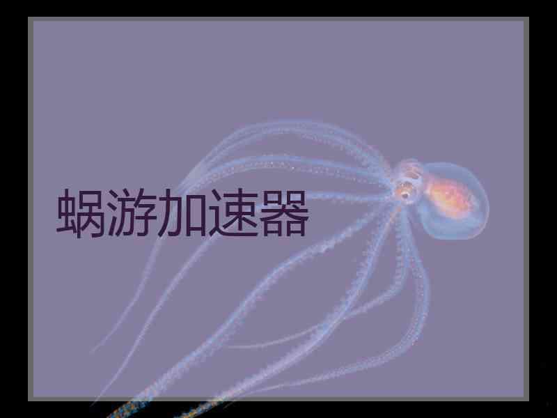 蜗游加速器