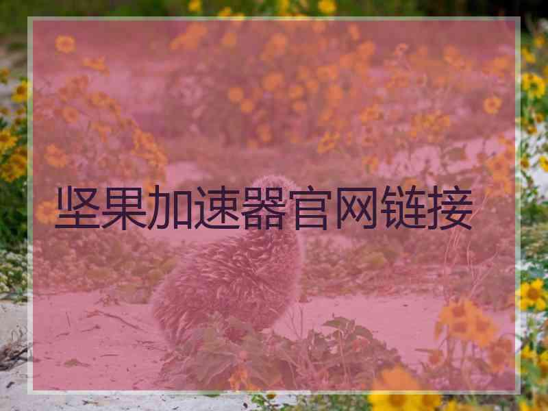 坚果加速器官网链接