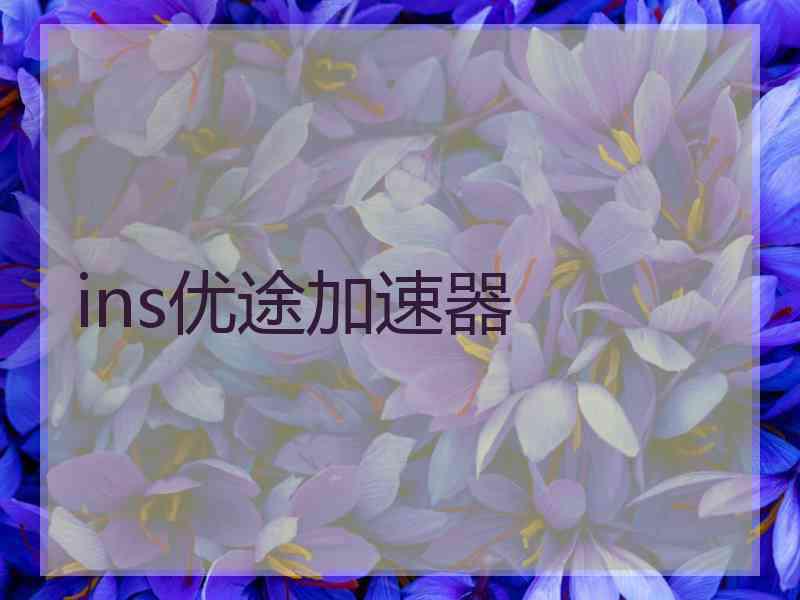ins优途加速器