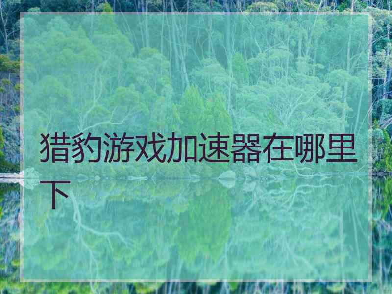 猎豹游戏加速器在哪里下