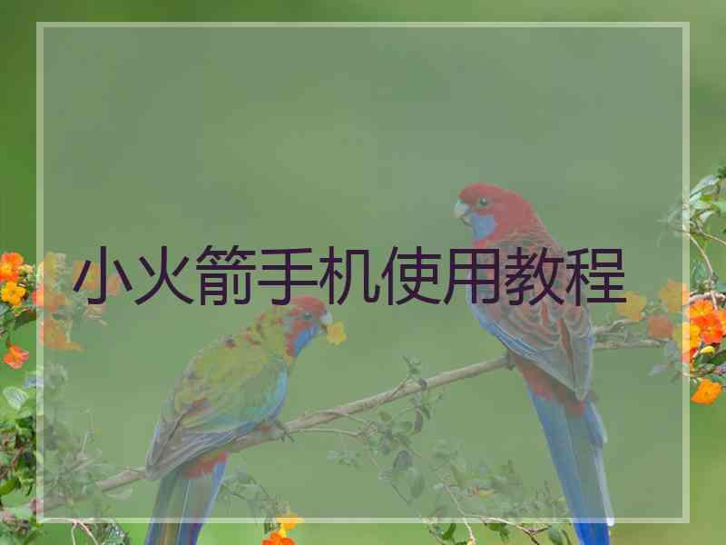 小火箭手机使用教程