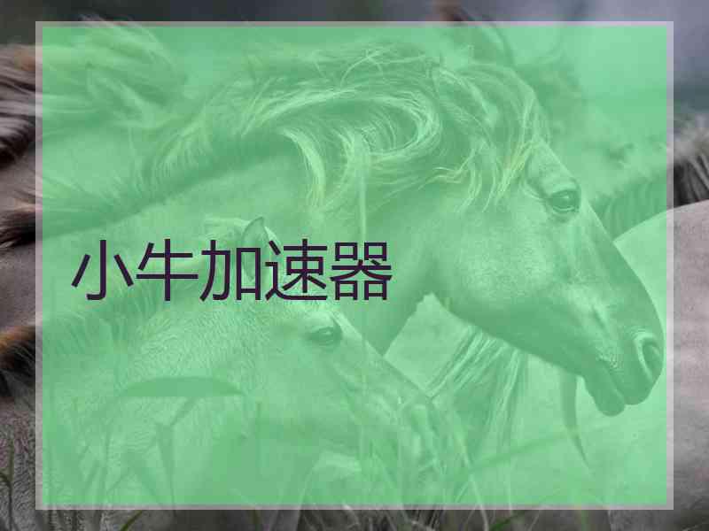 小牛加速器