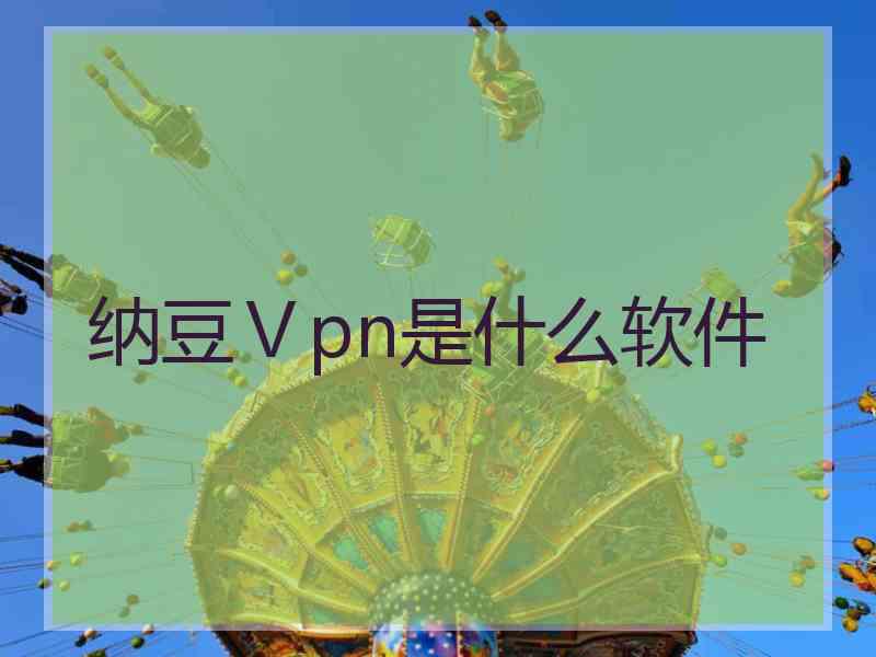 纳豆Ⅴpn是什么软件