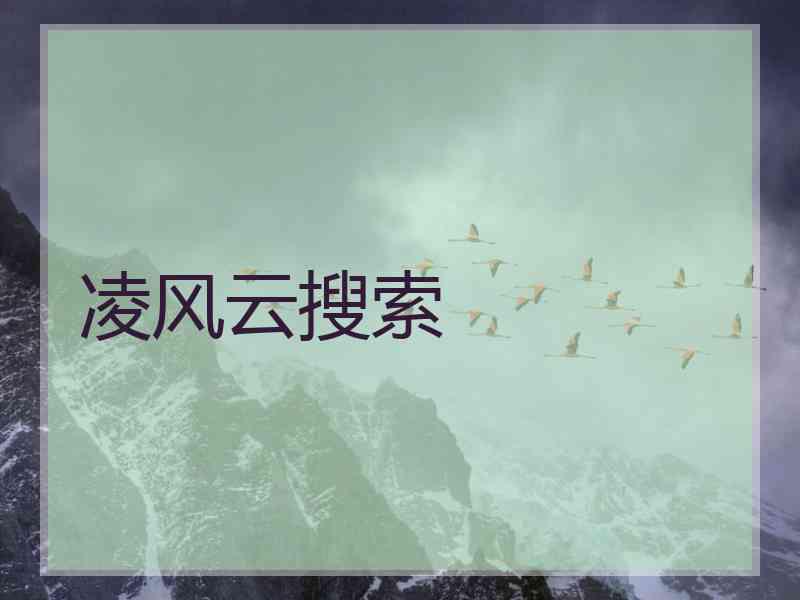 凌风云搜索