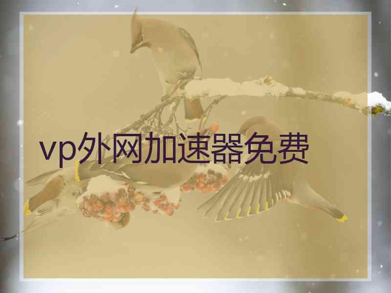 vp外网加速器免费