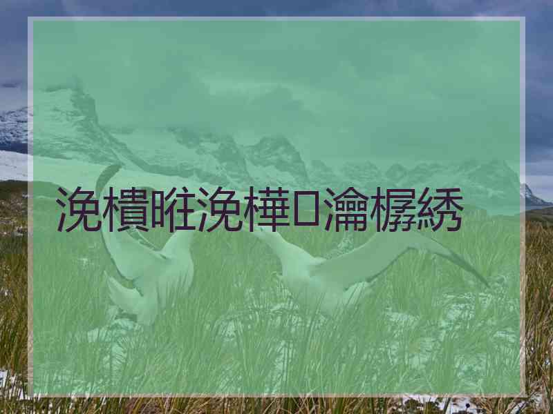 浼樻暀浼樺瀹樼綉