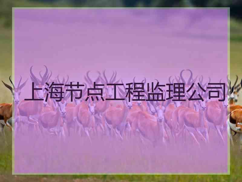 上海节点工程监理公司