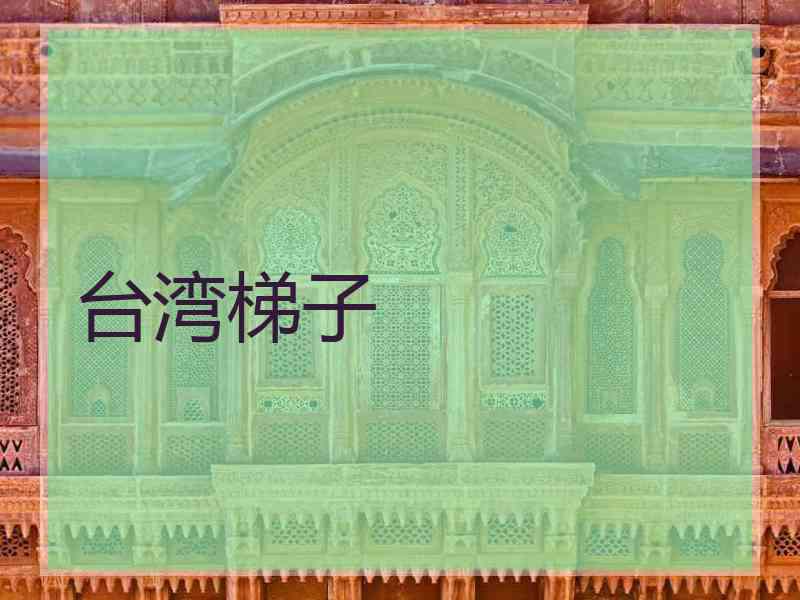 台湾梯子