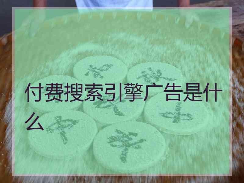 付费搜索引擎广告是什么