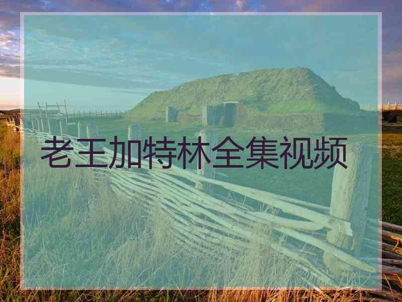 老王加特林全集视频